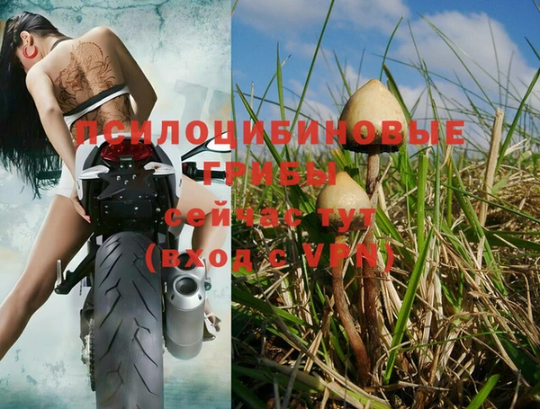 не бодяженный Остров