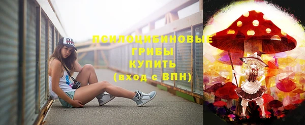 мдпв Нягань
