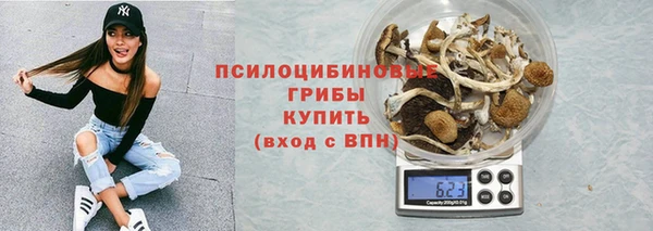 кристаллы Осинники