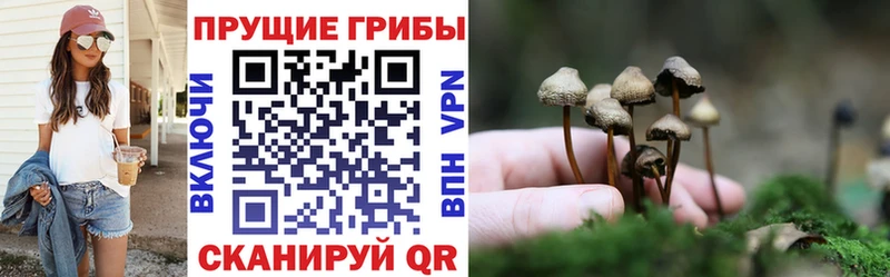 Псилоцибиновые грибы GOLDEN TEACHER Петушки